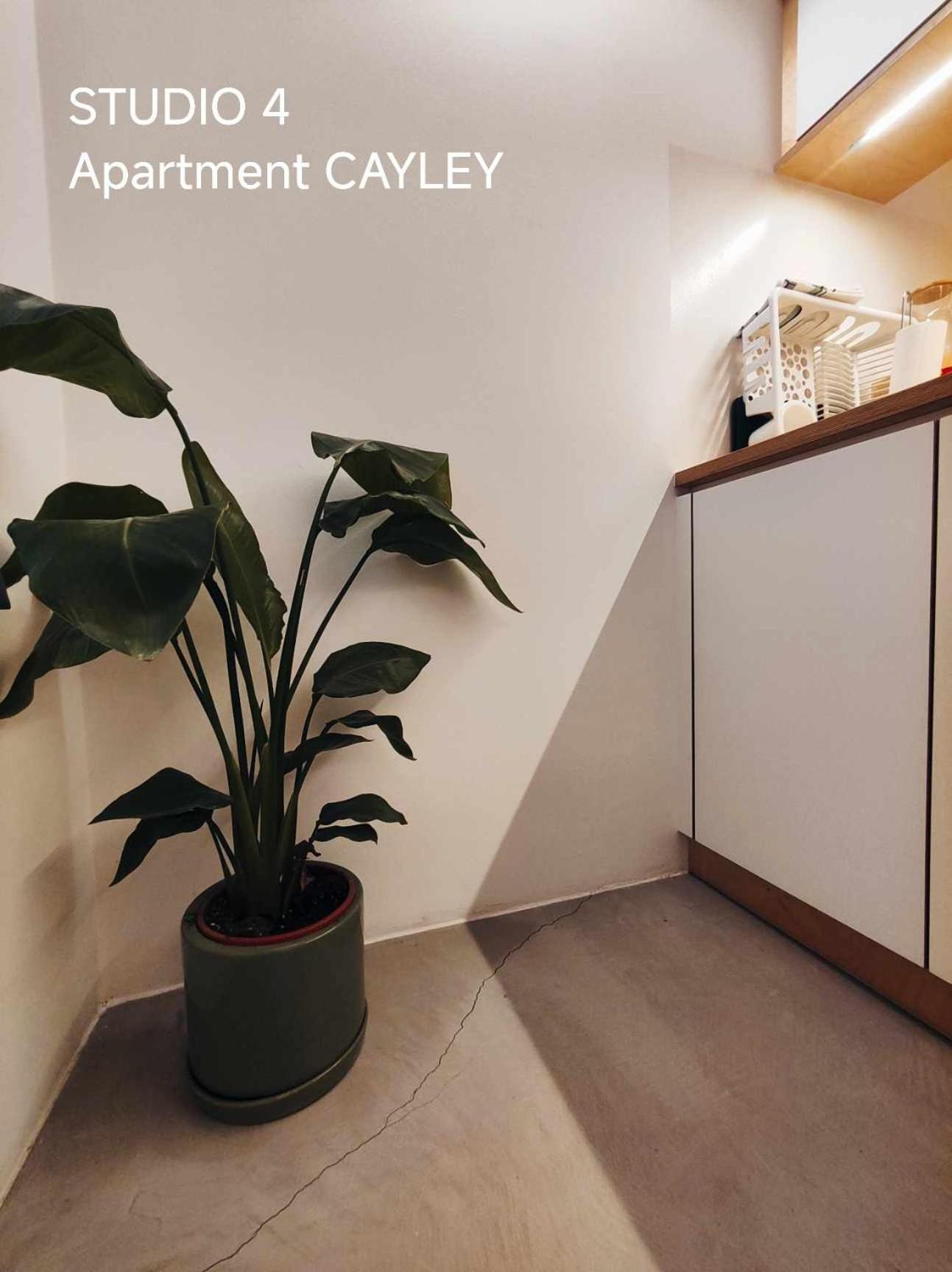 Pekarna Apartments 卢布尔雅那 外观 照片